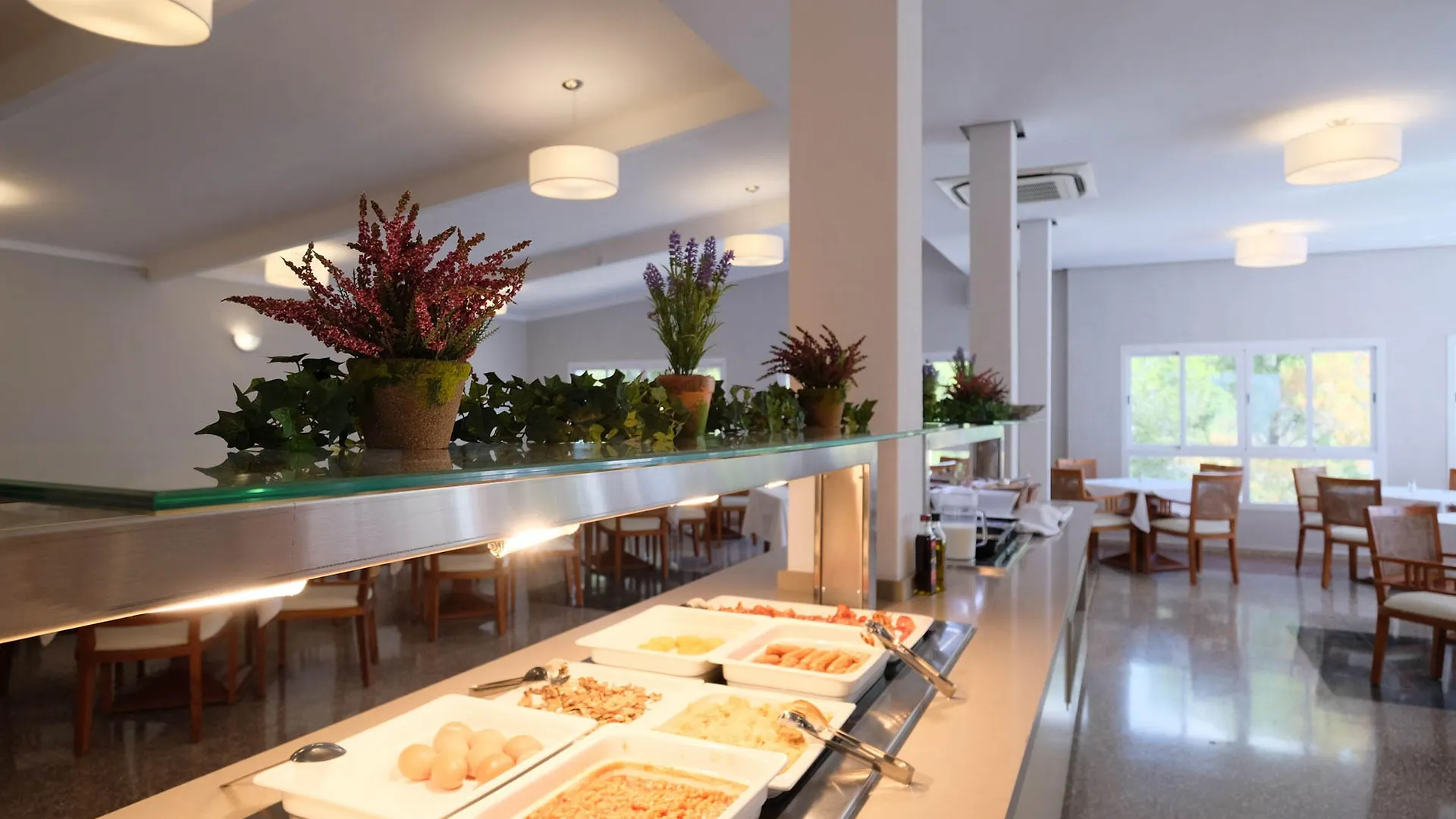 *** 酒店 帕尔马诺瓦花园阿祖兰酒店 Palmanova 西班牙